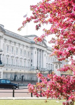 英国房产网站公布最贵的10条街 有钱人缘何扎堆这里